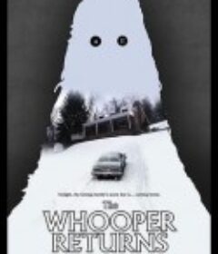 童年来客 The Occupant            (2021)