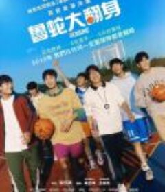 触底反弹 리바운드            (2023)