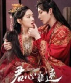 君心难逑            (2023)