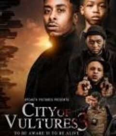秃鹰之城 City of Vultures 3            (2022)