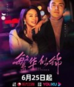 繁华似锦            (2023)