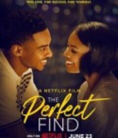 完美爱人生 The Perfect Find            (2023)