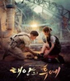 太阳的后裔 태양의 후예            (2016)