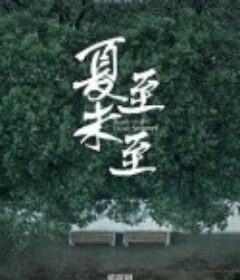 夏至未至            (2017)