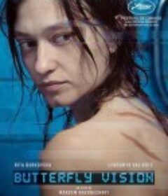 蝴蝶视觉 Бачення метелика            (2022)