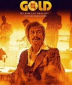 旋转的金唱片 Spinning Gold            (2023)