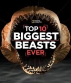 十大巨兽排行榜 Top 10 Biggest Beasts Ever            (2015)