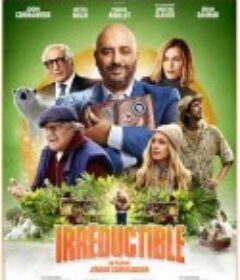 月度最佳员工 Irréductible            (2022)