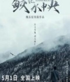 鲛在水中央            (2021)