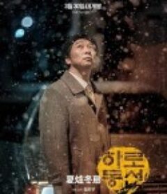 夏炉冬扇 하로동선            (2021)