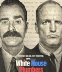 白宫水管工 White House Plumbers            (2023)