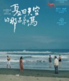 夏日天空的那匹红马 夏日天空的那匹紅馬            (2022)