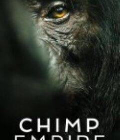 黑猩猩帝国 Chimp Empire            (2023)