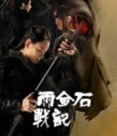 雨金石战记            (2023)