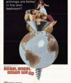 选我还是她 Angel, Angel, Down We Go            (1969)