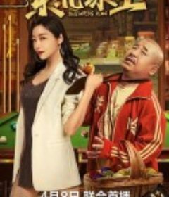 东北球王            (2023)