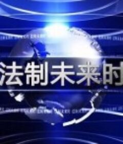 法制未来时            (2015)