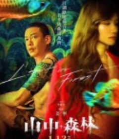 山中森林            (2022)