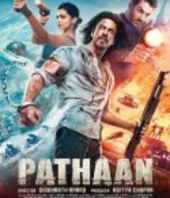 帕坦 पठान            (2023)