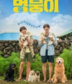 小奶狗 멍뭉이            (2023)