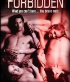 背德看护妇 Forbidden            (2002)