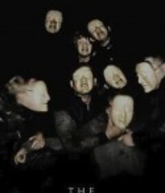 坠落 The Fall            (2019)