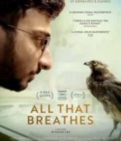 生生相息 All That Breathes            (2022)