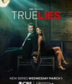 真实的谎言 True Lies            (2023)