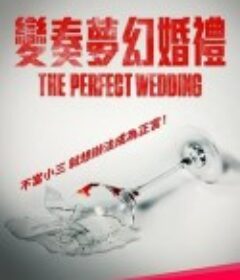 变奏梦幻婚礼 The Perfect Wedding            (2021)