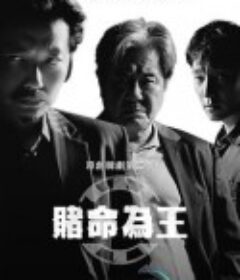 赌命为王  第二季 카지노2            (2023)