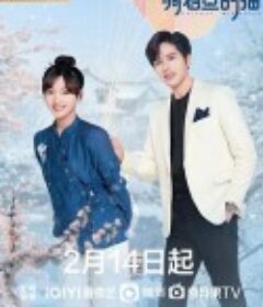 骑着鱼的猫            (2023)