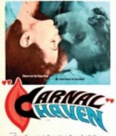 肉身避风港 Carnal Haven            (1975)