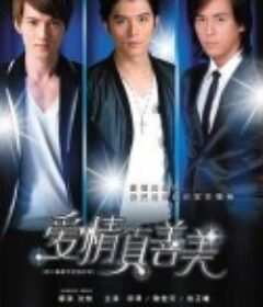 爱情真善美            (2011)