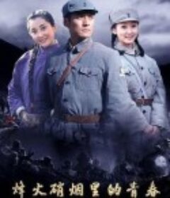 烽火硝烟里的青春            (2020)