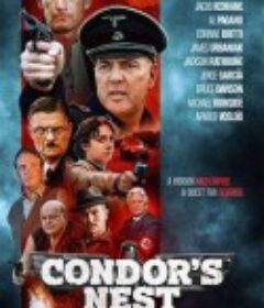 秃鹰的巢穴 Condor's Nest            (2022)