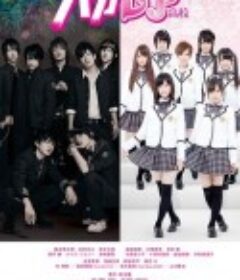 私立马鹿兰高校 私立バカレア高校            (2012)