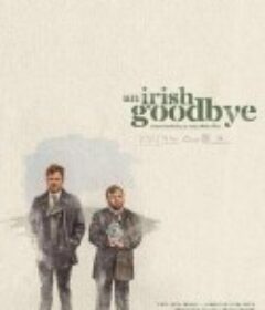 爱尔兰式告别 An Irish Goodbye            (2022)
