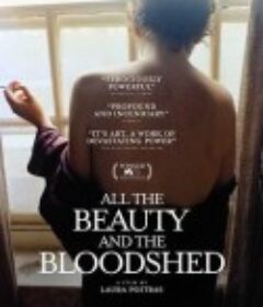 所有的美丽与血泪 All the Beauty and the Bloodshed            (2022)