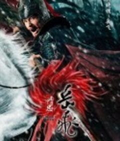 精忠岳飞            (2013)