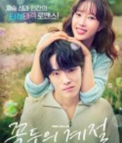 顶斗的季节 꼭두의 계절            (2023)