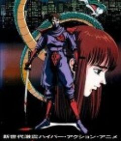 忍者龙剑传 忍者龍剣伝            (1991)