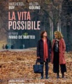 可能的生活 La vita possibile            (2016)