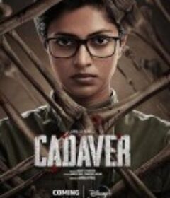 法医缉凶 Cadaver            (2022)