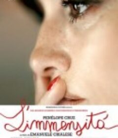 巨大 L'immensita            (2022)