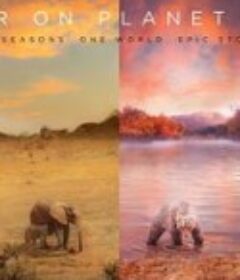 地球上的一年 A Year on Planet Earth            (2022)