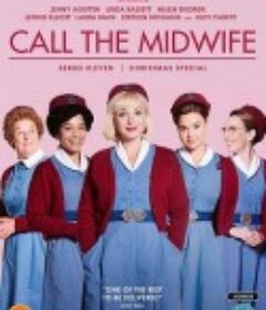 呼叫助产士 第十一季 Call the Midwife Season 11            (2022)