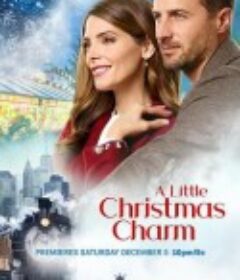 丢失的圣诞手镯 A Little Christmas Charm            (2020)