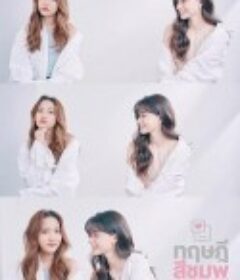 粉红理论 ทฤษฎีสีชมพู GAP The Series            (2022)