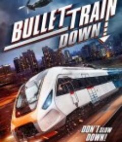 列车大爆破 Bullet Train Down            (2022)