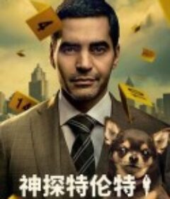 神探特伦特 第一季 Will Trent Season 1            (2023)